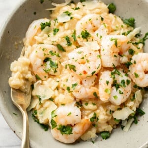 a bowl of lemon and shrimp risotto with a fork
