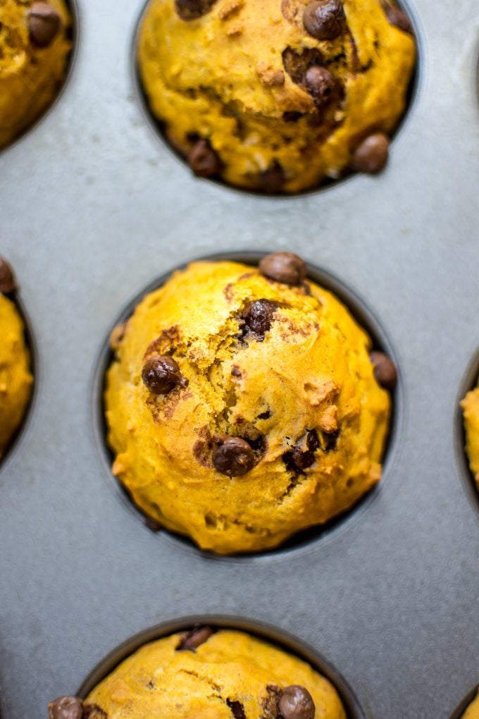 close-up of a pumpkin chocolate chip muffin in a baking tray