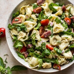 This easy cold spinach tortellini salad has a delicious homemade Italian dressing, salami, basil, and fresh tomatoes. The perfect pasta salad to feed a crowd for potlucks, picnics, or summer BBQs.