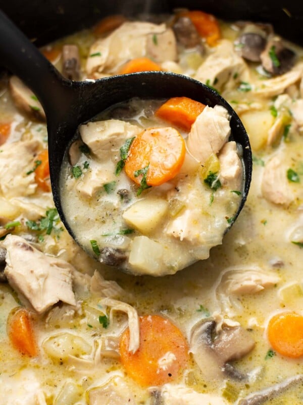 closeup of a pot of chicken stew with a ladle