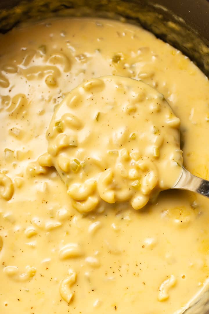 extreme close-up of a ladle with macaroni and cheese soup
