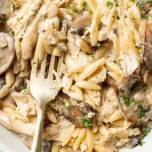 a bowl of creamy mushroom chicken orzo with a fork